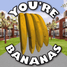 Bananas