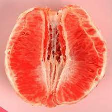 Grapefruit